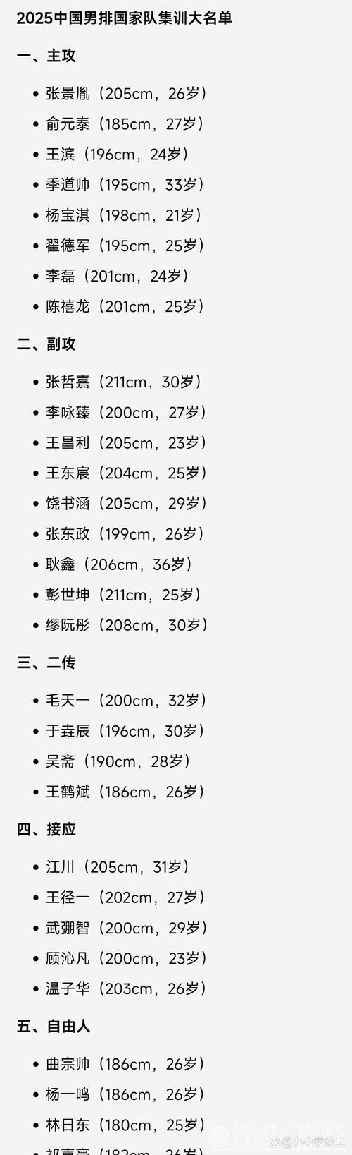 中国男排集训名单公布：张景胤、江川等名将入选